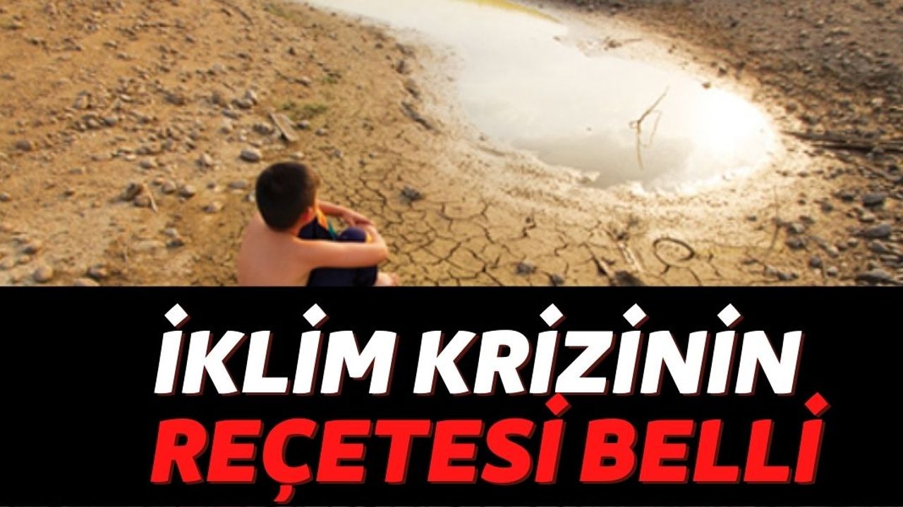 En Derinden Etkilenen Yerlerden Biri Türkiye! İklim Krizi Önlemleriyle İlgili Uzmanlar Ne Öneriyor?