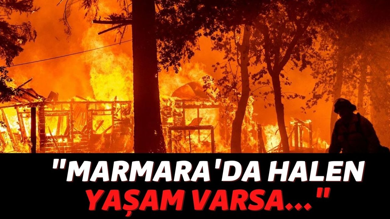Orman Yangınları Günlerce Sürmüştü! Yangınlar Konusunda Türkiye'yi Yeni Bir Felaket mi Bekliyor?