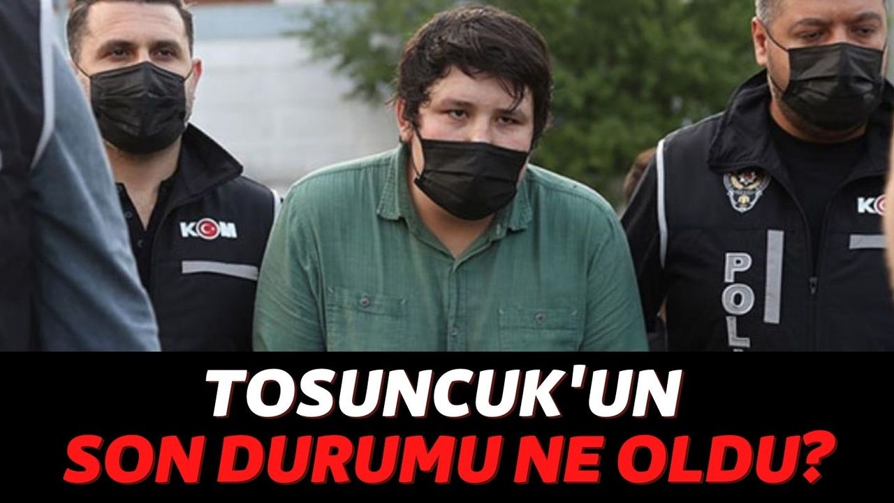Çiftlik Bank Davasında Yeni Gelişme! "Tosuncuk" Mehmet Aydın'ın Durumu Ne Oldu?
