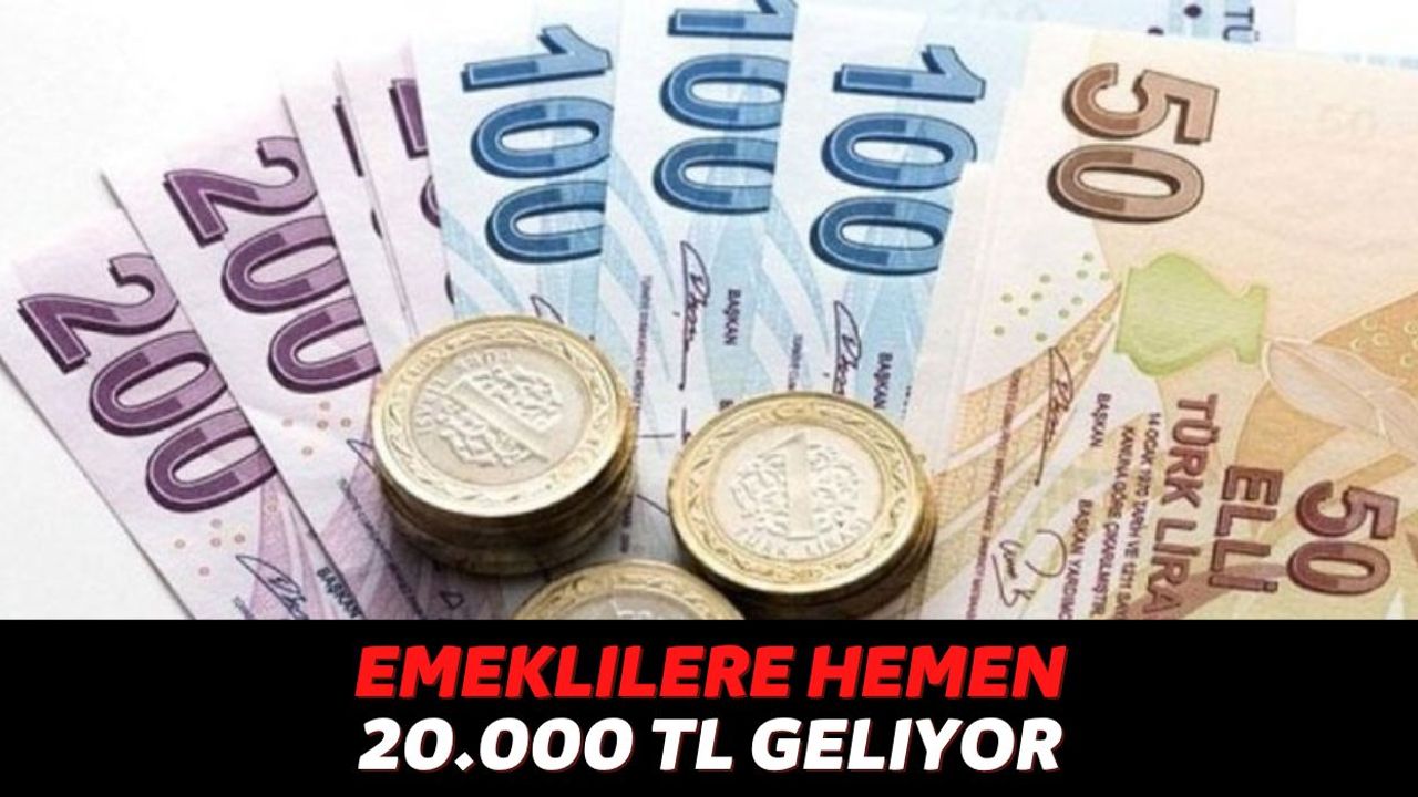 SSK ya da Bağkur'dan Emekli Maaşı Alıyorsanız Halkbank Şubelerine Koşun, TC Numarasına Göre 20.000 TL Veriliyor