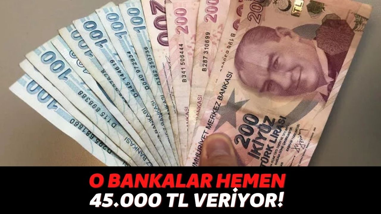 Türkiye İş Bankası, Halkbank ve Ziraat Bankası Başvuru Yaptığınızda Yarım Saat İçinde 45.000 TL Gönderiyor!