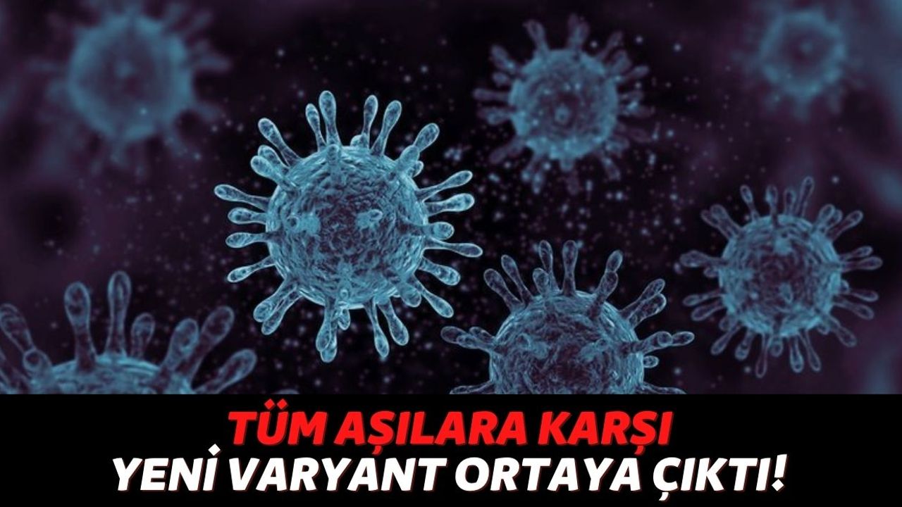 Yine Başrolde Yarasalar Var: Tüm Aşılara ve Antikora Dirençli Yeni Coronavirüs, Varyanta Neden Olabilir!