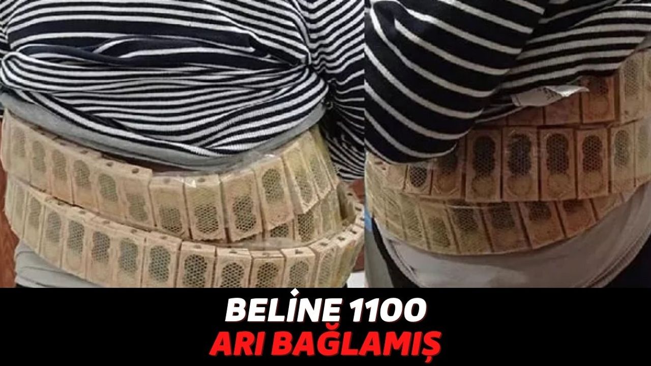 Gümrükte Yaşanan İlginç Olay: Türkiye'ye Girmeye Çalışan Bir Adam Belinde 1100 Bal Arısıyla Yakalandı