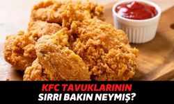 Tüm Dünyanın Bayıldığı KFC Tavuklarının Birebir Aynısını Yapabilirsiniz! Yıllardır Saklanan Tarifi Bulduk..