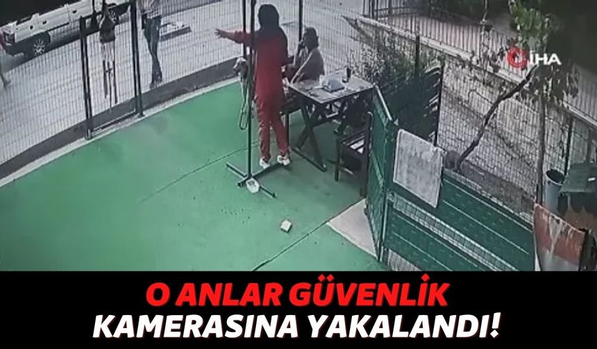 Şimdi de Veterinerlerin Canı Tehlikede: Kırıkkale'de Veteriner Kliniğinin Camları İndirildi, Tehditler Savruldu